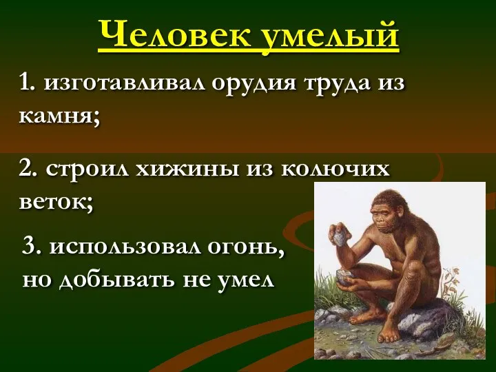 Человек умелый 1. изготавливал орудия труда из камня; 2. строил хижины