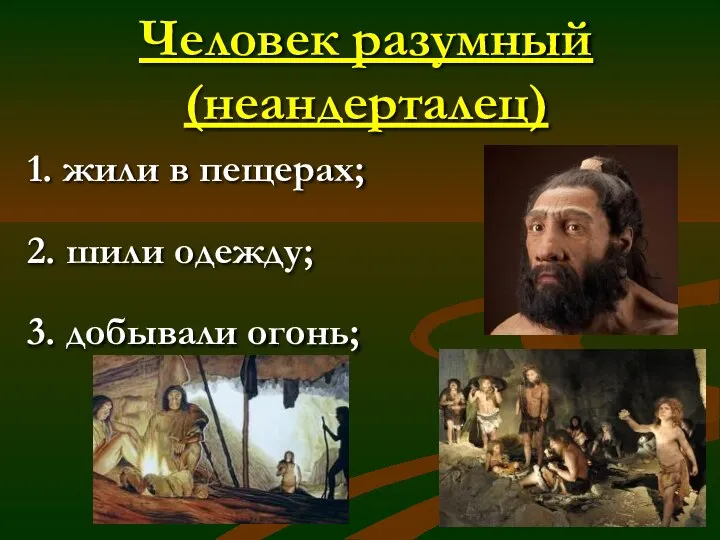 Человек разумный (неандерталец) 1. жили в пещерах; 2. шили одежду; 3. добывали огонь;