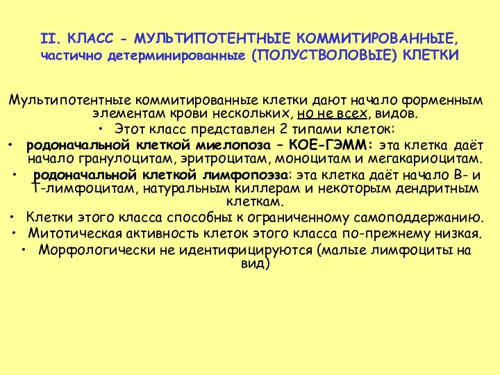 II. КЛАСС - МУЛЬТИПОТЕНТНЫЕ КОММИТИРОВАННЫЕ, частично детерминированные (ПОЛУСТВОЛОВЫЕ) КЛЕТКИ Мультипотентные коммитированные