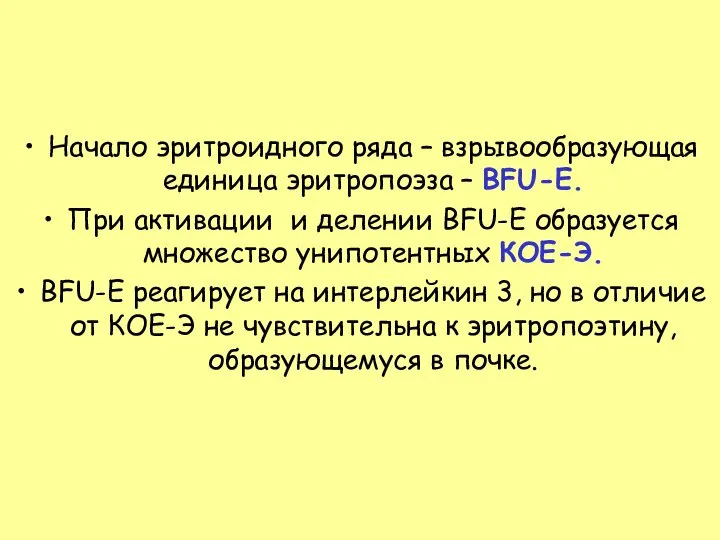 Начало эритроидного ряда – взрывообразующая единица эритропоэза – BFU-E. При активации