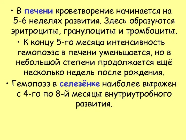 В печени кроветворение начинается на 5-6 неделях развития. Здесь образуются эритроциты,