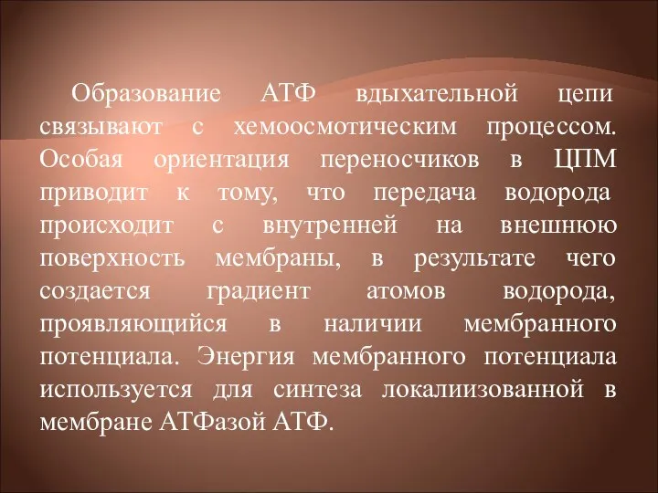 Образование АТФ вдыхательной цепи связывают с хемоосмотическим процессом. Особая ориентация переносчиков