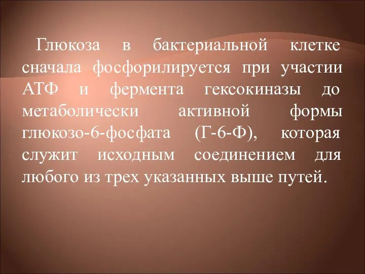 Глюкоза в бактериальной клетке сначала фосфорилируется при участии АТФ и фермента