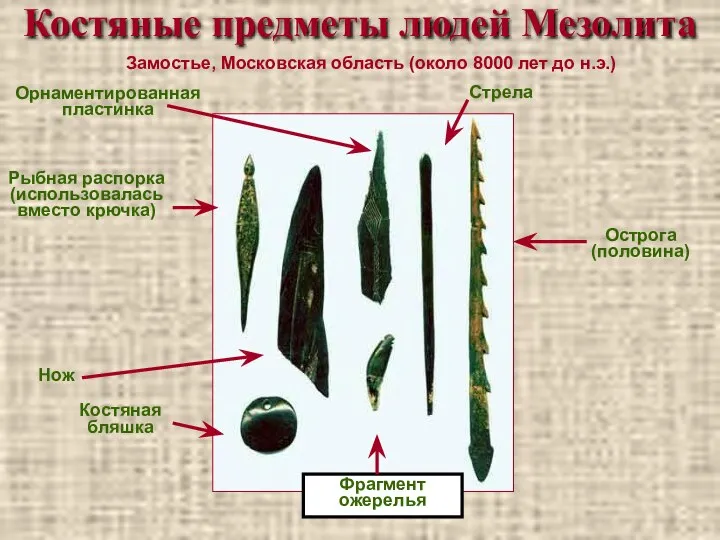 Костяные предметы людей Мезолита Замостье, Московская область (около 8000 лет до