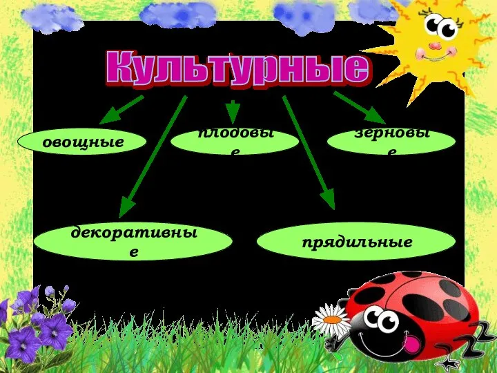 Культурные овощные плодовые декоративные зерновые прядильные