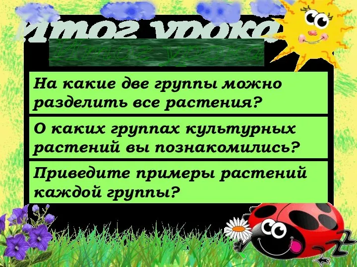 Итог урока О каких группах культурных растений вы познакомились? На какие