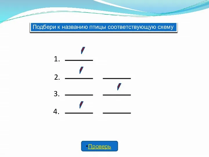 Подбери к названию птицы соответствующую схему 1. 2. 3. 4. Проверь