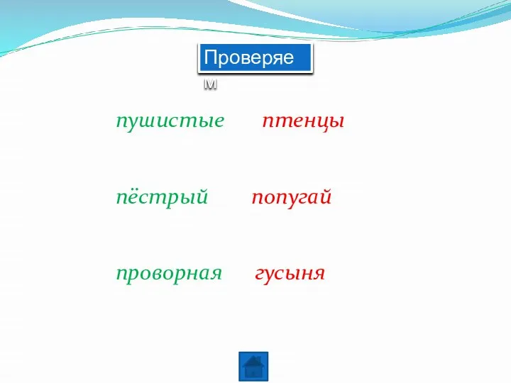 Проверяем пушистые птенцы пёстрый попугай проворная гусыня