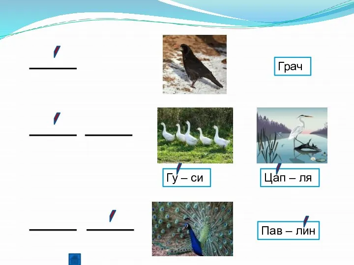 Грач Гу – си Цап – ля Пав – лин