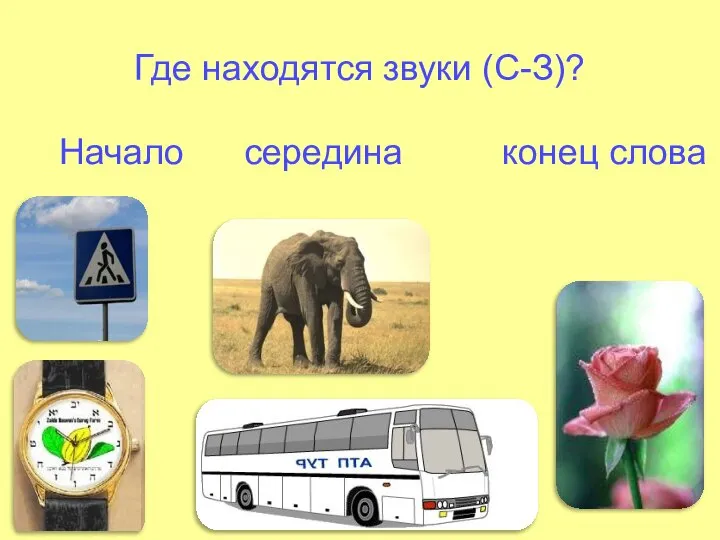 Где находятся звуки (С-З)? Начало середина конец слова