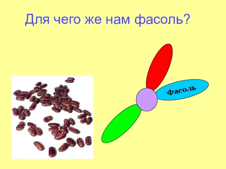 Фасоль Для чего же нам фасоль?