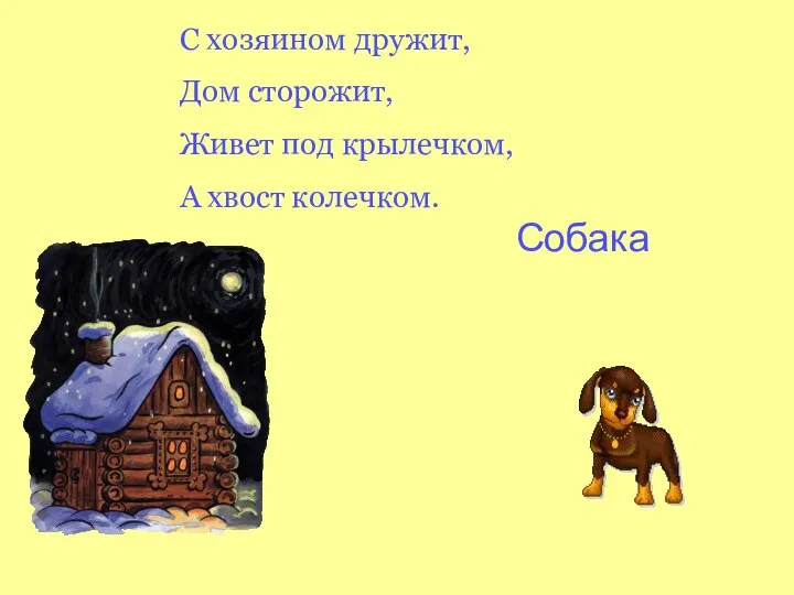 С хозяином дружит, Дом сторожит, Живет под крылечком, А хвост колечком. С обака