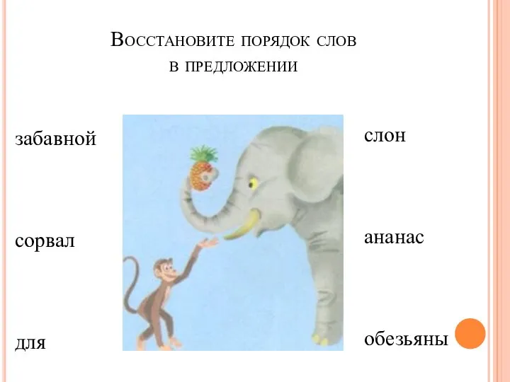 Восстановите порядок слов в предложении забавной сорвал для слон ананас обезьяны