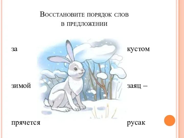 Восстановите порядок слов в предложении за зимой прячется кустом заяц – русак