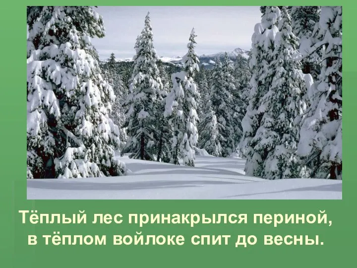 Тёплый лес принакрылся периной, в тёплом войлоке спит до весны.