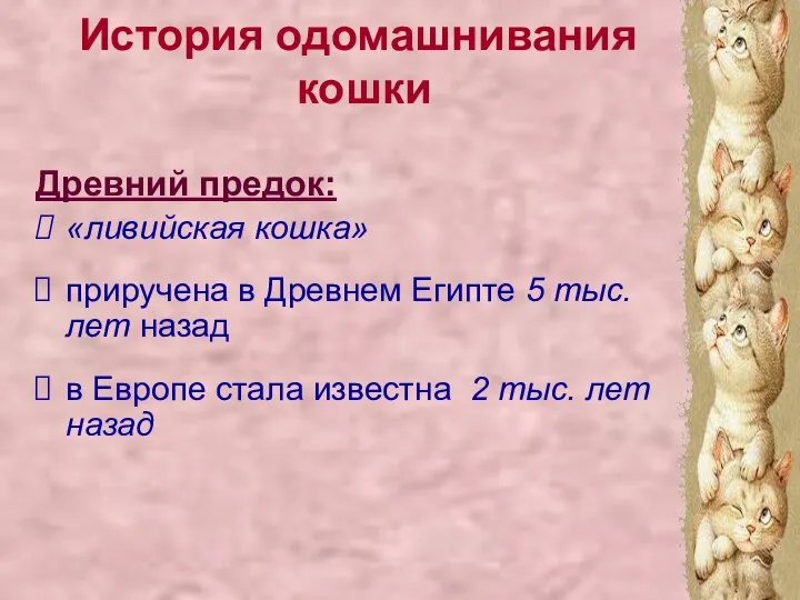 Древний предок: «ливийская кошка» приручена в Древнем Египте 5 тыс. лет