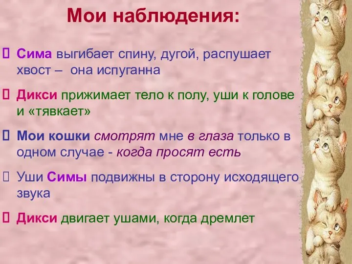 Мои наблюдения: Сима выгибает спину, дугой, распушает хвост – она испуганна