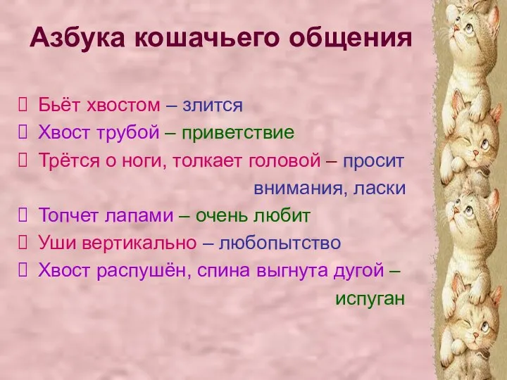 Азбука кошачьего общения Бьёт хвостом – злится Хвост трубой – приветствие