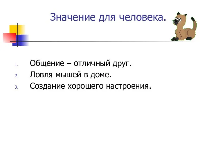 Значение для человека. Общение – отличный друг. Ловля мышей в доме. Создание хорошего настроения.