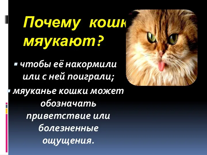 Почему кошки мяукают? чтобы её накормили или с ней поиграли; мяуканье