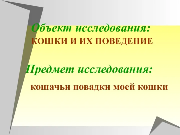 КОШКИ И ИХ ПОВЕДЕНИЕ Объект исследования: Предмет исследования: кошачьи повадки моей кошки