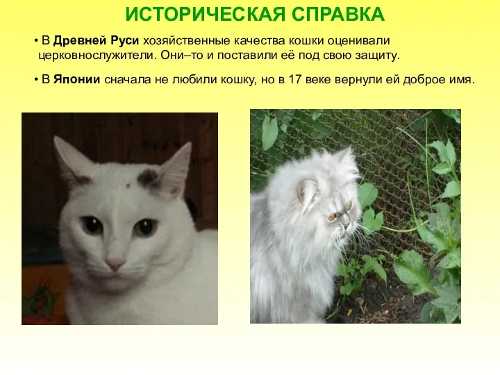 ИСТОРИЧЕСКАЯ СПРАВКА В Древней Руси хозяйственные качества кошки оценивали церковнослужители. Они–то