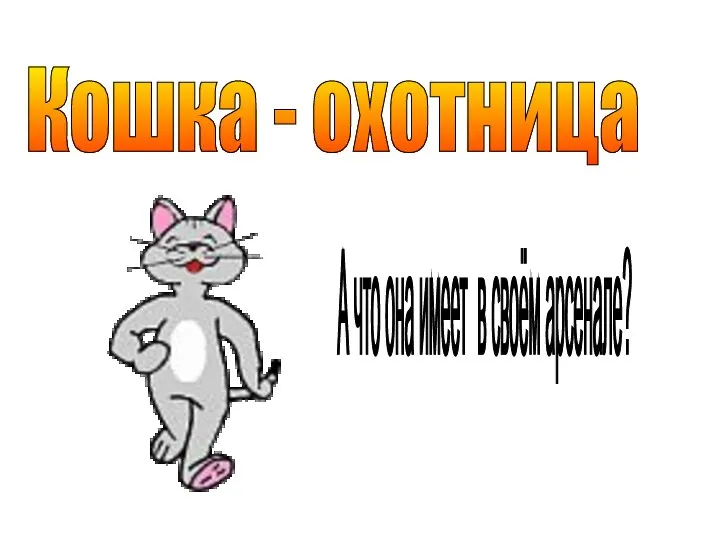 Кошка - охотница А что она имеет в своём арсенале?