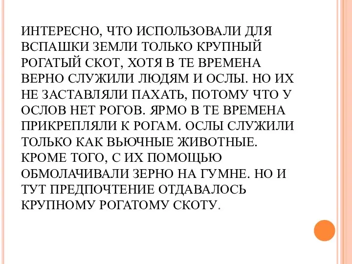 ИНТЕРЕСНО, ЧТО ИСПОЛЬЗОВАЛИ ДЛЯ ВСПАШКИ ЗЕМЛИ ТОЛЬКО КРУПНЫЙ РОГАТЫЙ СКОТ, ХОТЯ