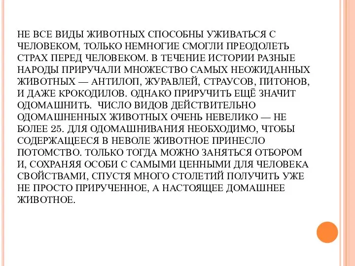 НЕ ВСЕ ВИДЫ ЖИВОТНЫХ СПОСОБНЫ УЖИВАТЬСЯ С ЧЕЛОВЕКОМ, ТОЛЬКО НЕМНОГИЕ СМОГЛИ