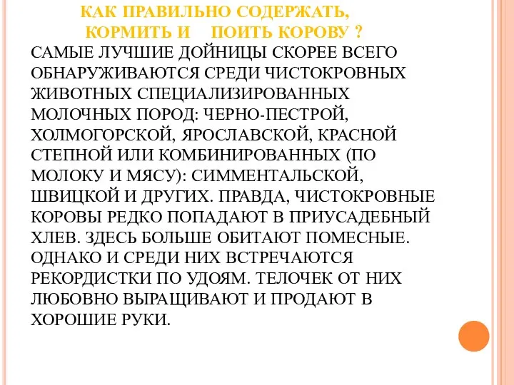 КАК ПРАВИЛЬНО СОДЕРЖАТЬ, КОРМИТЬ И ПОИТЬ КОРОВУ ? САМЫЕ ЛУЧШИЕ ДОЙНИЦЫ