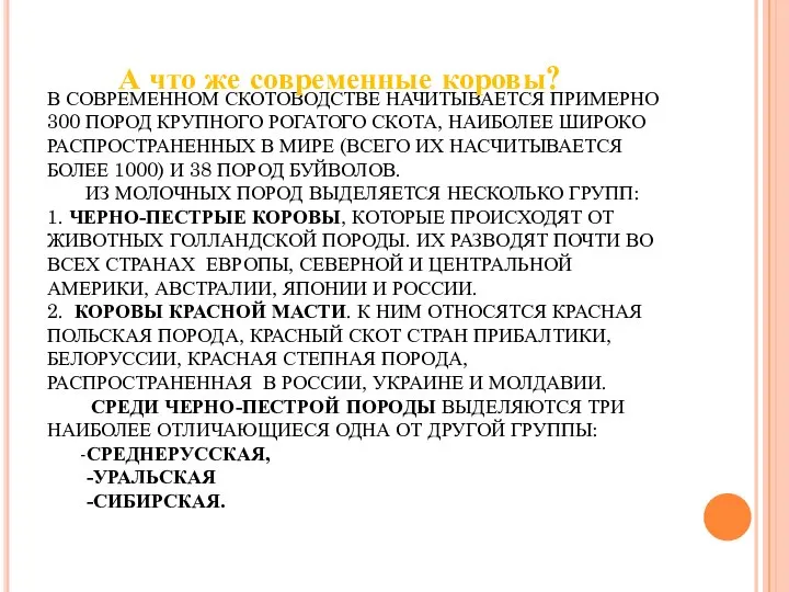 В СОВРЕМЕННОМ СКОТОВОДСТВЕ НАЧИТЫВАЕТСЯ ПРИМЕРНО 300 ПОРОД КРУПНОГО РОГАТОГО СКОТА, НАИБОЛЕЕ