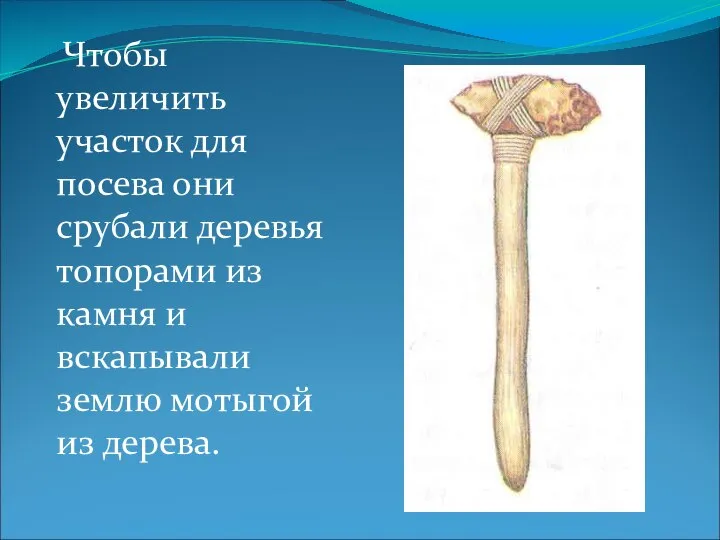 Чтобы увеличить участок для посева они срубали деревья топорами из камня