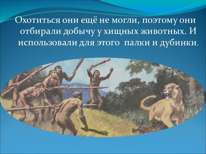 Медина Мекка Охотиться они ещё не могли, поэтому они отбирали добычу