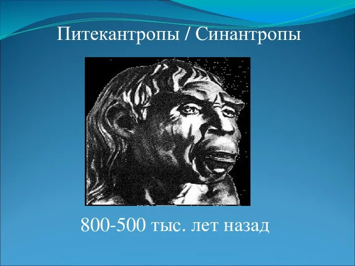 Питекантропы / Синантропы 800-500 тыс. лет назад