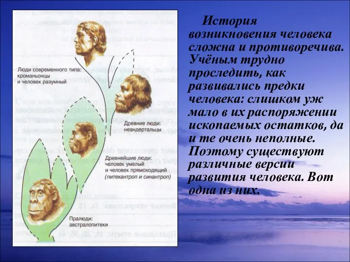 История возникновения человека сложна и противоречива. Учёным трудно проследить, как развивались