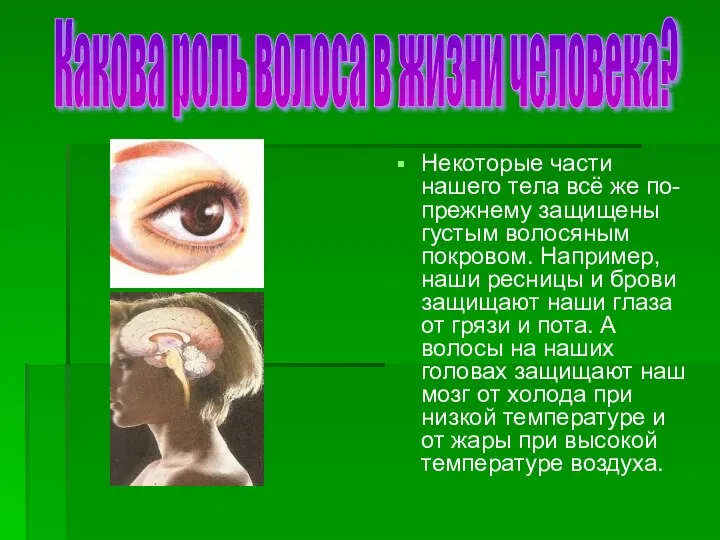 Некоторые части нашего тела всё же по-прежнему защищены густым волосяным покровом.