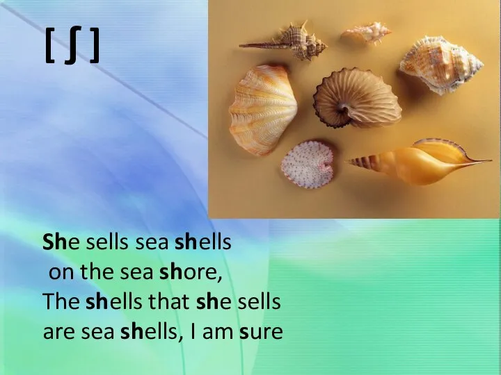 [ ʃ ] She sells sea shells on the sea shore,
