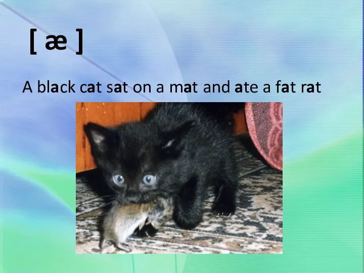 [ æ ] A black cat sat on a mat and ate a fat rat