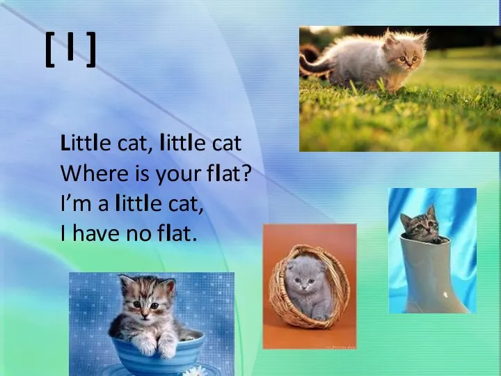 Little cat, little cat Where is your flat? I’m a little