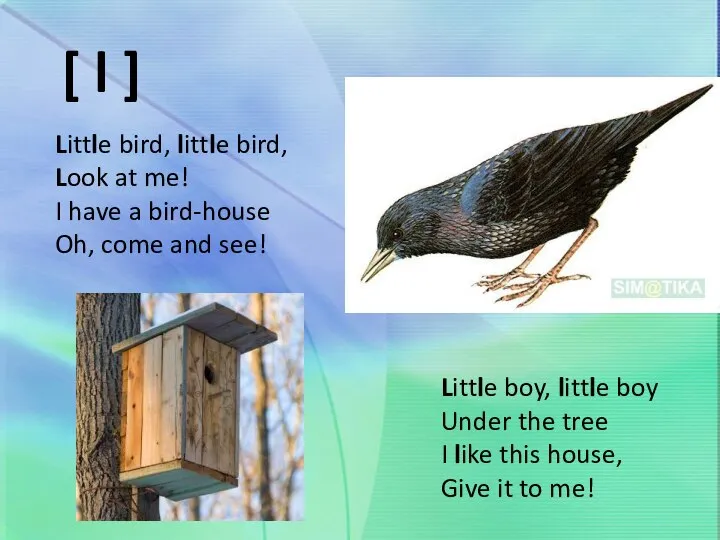 [ l ] Little bird, little bird, Look at me! I