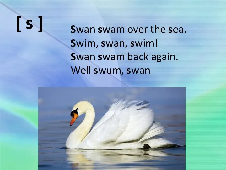 Swan swam over the sea. Swim, swan, swim! Swan swam back