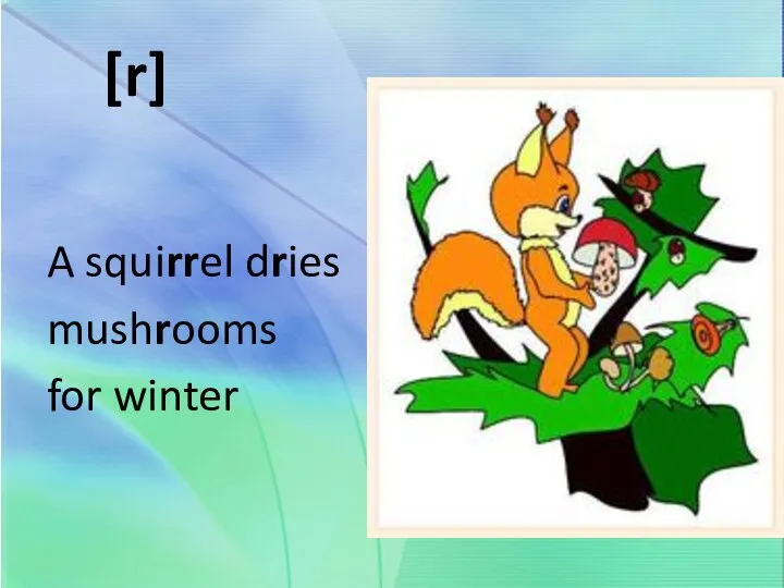 [r] A squirrel dries mushrooms for winter