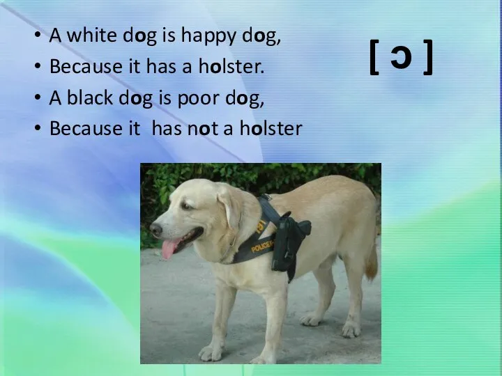 A white dog is happy dog, Because it has a holster.