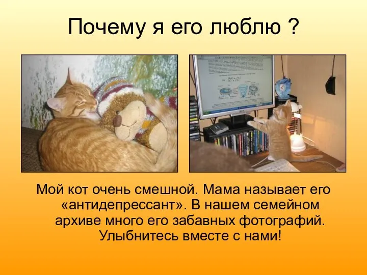 Почему я его люблю ? Мой кот очень смешной. Мама называет