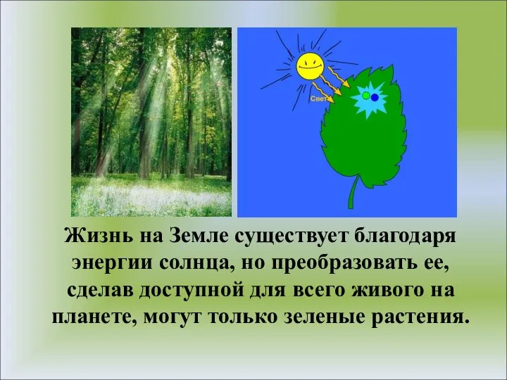 Жизнь на Земле существует благодаря энергии солнца, но преобразовать ее, сделав