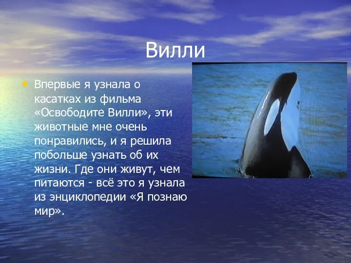 Вилли Впервые я узнала о касатках из фильма «Освободите Вилли», эти