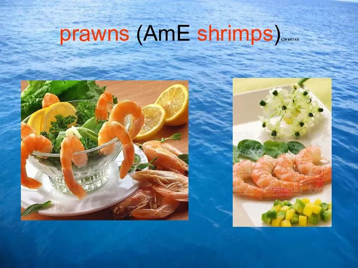 prawns (AmE shrimps)креветки