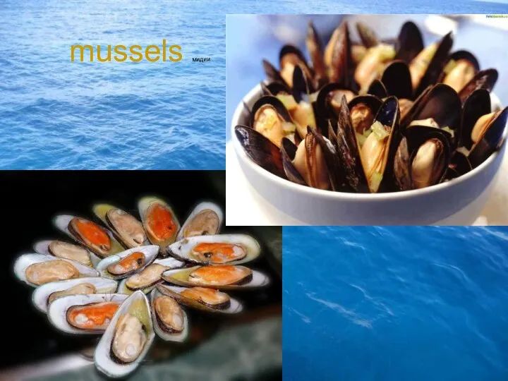 mussels мидии