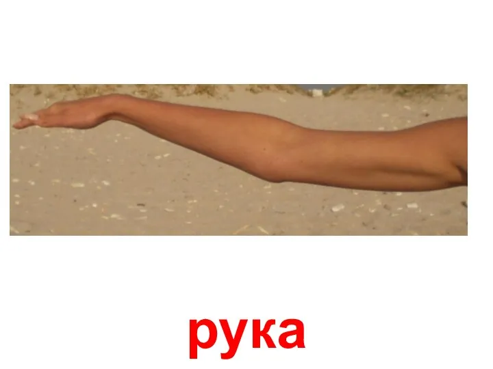 рука