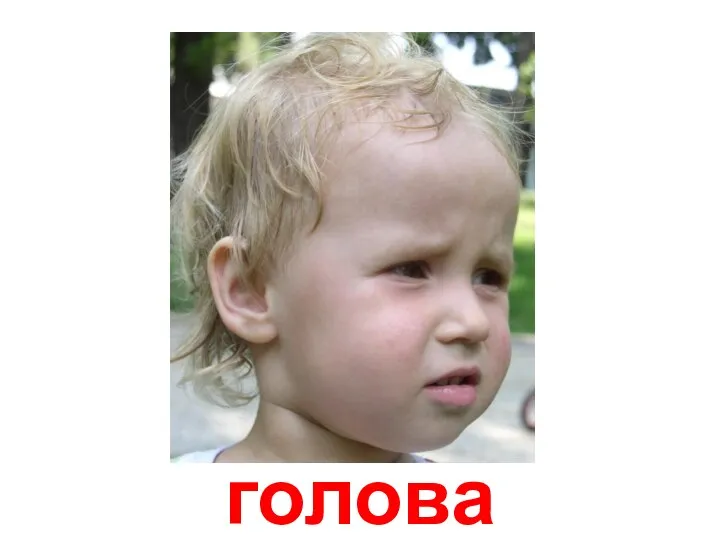 голова